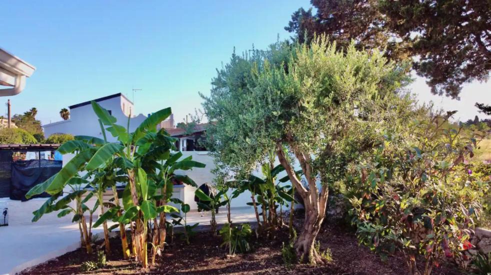Villa Mare Blue Sr Nuovissima Villa 150M Dal Mare Adatta A Bambini Terrauzza Buitenkant foto